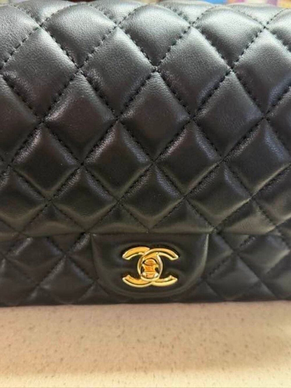 Soft Leather Double Flap Bag